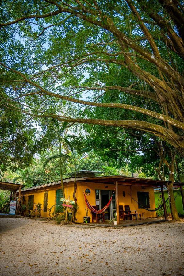 Pura Vida Mini Hostel Santa Teresa Playa Santa Teresa  Exterior foto